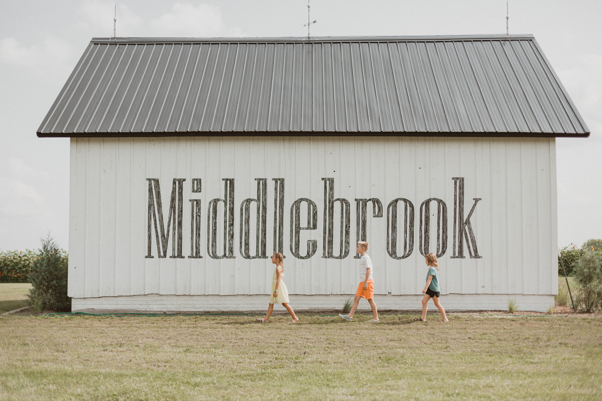 Middlebrook Farm